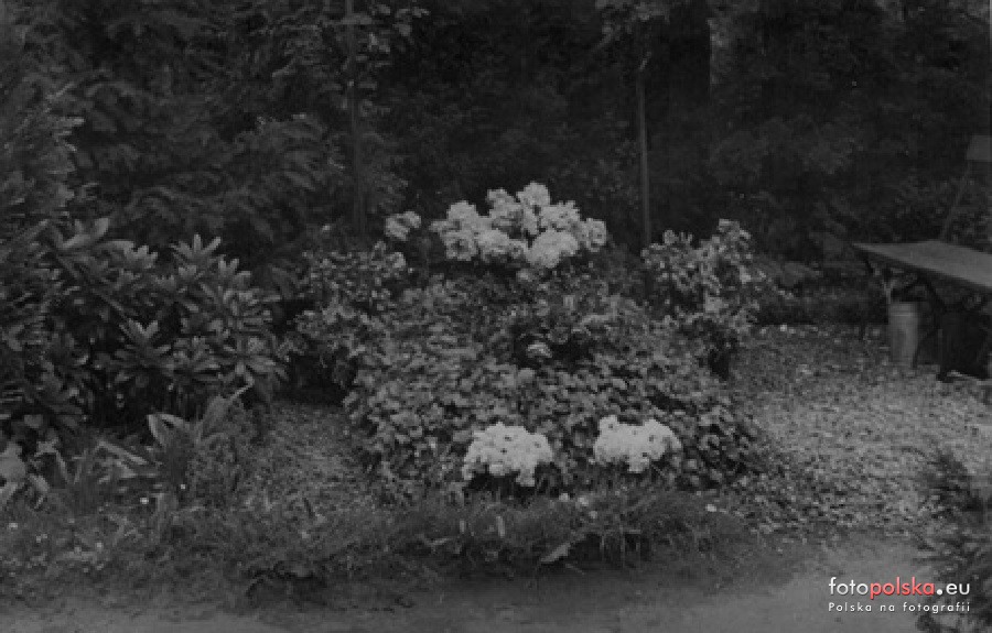 1935 , Grób opolskiego fotografa Maxa Glauera na nieistniejącej już części cmentarza przy ulicy Wrocławskiej. Zdjęcie pochodzi ze zbiorów prawnuków fotografa. Fot. Fotopolska.eu.